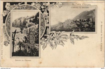 CPA SAINT-PIERRE-d'ALBIGNY Chateau de Miolans - Entree au Chateau (1192735)