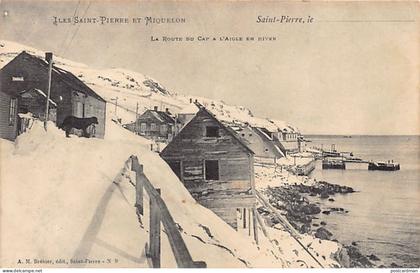 Saint-Pierre & Miquelon - La route du Cap à l'Aigle en hiver - VOIR LES SCANS POUR L'ÉTAT - Ed. A. M. Brehier 9