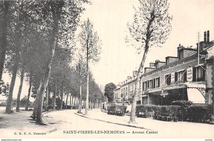 77-SAINT PIERRE LES NEMOURS-N°5144-E/0229