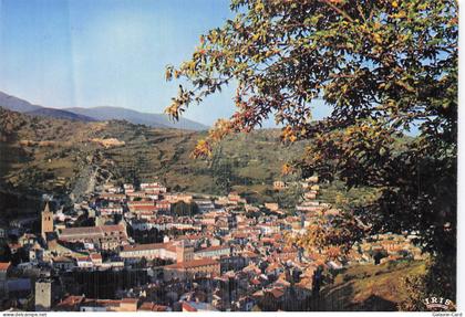 34 SAINT PONS DE THOMIERES MAISON DE QUIROU