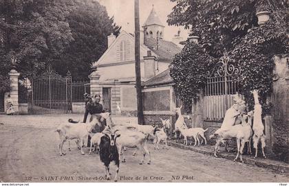 SAINT PRIX(CHEVRE)