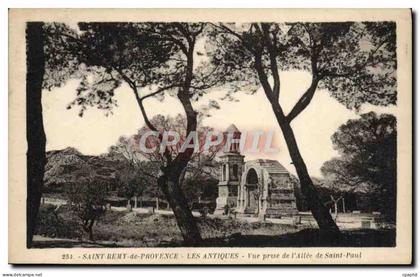 CPA Saint Remy de Provence Les Antiques Vue Prise de L'Allee de Saint Paul