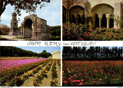 CPM Saint Remy De Provence
