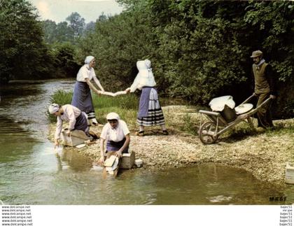 Saint remy en bouzemont "les morelles"
