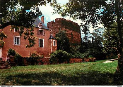 Carte Postale - 89 - Saint Sauveur en Puisaye - La tour du château - CPM - Voir Scans Recto-Verso - Poscard - Carta Post
