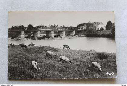 Cpsm, Saint Sever sur l'Adour, rive de l'Adour, Landes 40