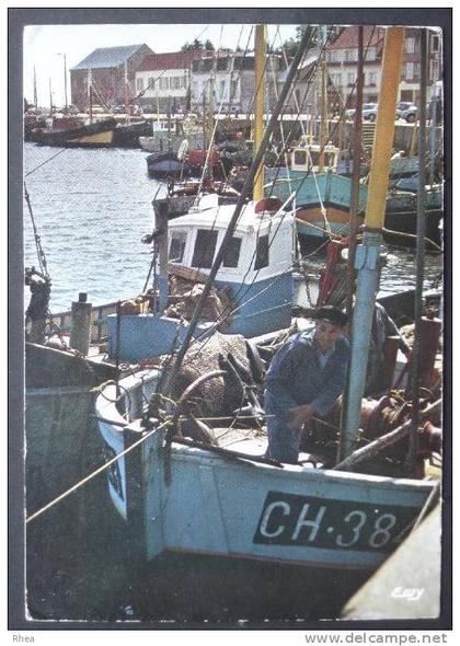 50 Saint-Vaast-la-Hougue bateau peche pecheur    D50D  K50417K  C50562C RH059251