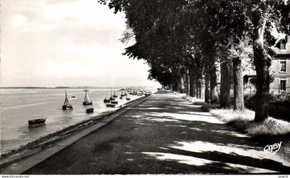 CPA Saint Valery sur Somme (Somme) La Promenade sur le Port