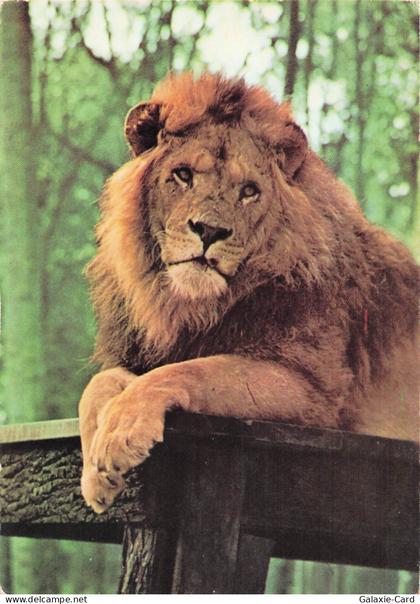 91 SAINT VRAIN PARC DE SAINT VRAIN