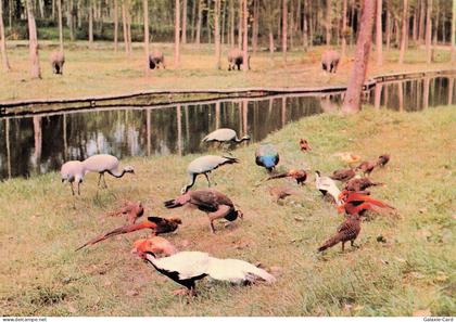 91 SAINT VRAIN PARC DE SAINT VRAIN