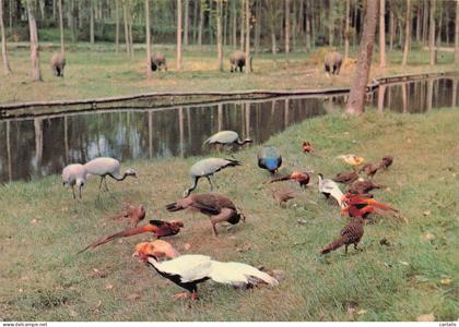 91-SAINT VRAIN-PARC DE SAINT VRAIN-N°7011-D/0237
