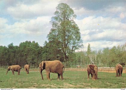 91-SAINT VRAIN-PARC DE SAINT VRAIN-N°7011-D/0239