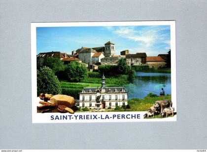 Saint Yrieix la Perche (87) : multivues
