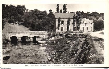 CPA Ste Anne d Auray La Vallee et le pont de Tre Auray