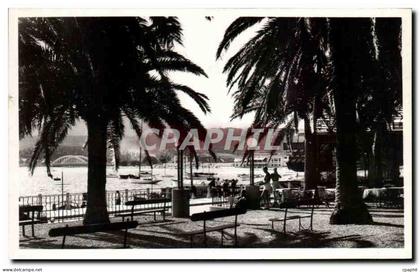 CPA Sainte Maxime Sur Mer Place des Palmiers
