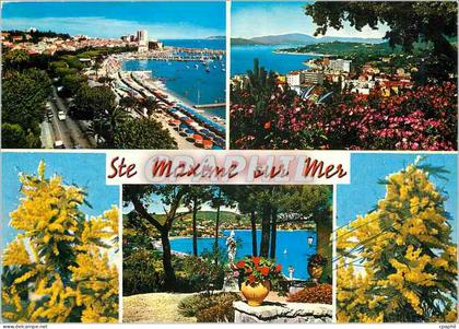 CPM La Cote d'Azur Sainte Maxime sur Mer (Var) La Promenade et la Plage vue generale la Baie
