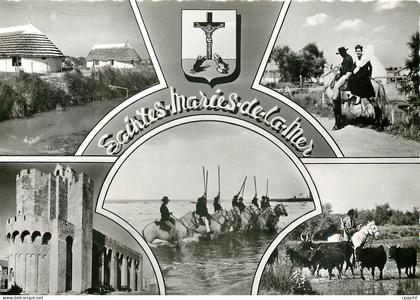 CPM Saintes Maries de la Mer B du R Taureaux