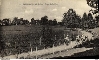 CPA Salies De Bearn Ferme De Bailleux Berger et ses vaches