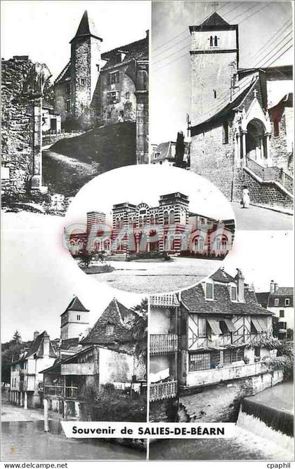 CPM Souvenir de Salies de Bearn Salies de Bearn Chateau Eglise Etablissement Thermal Vieilles Maison