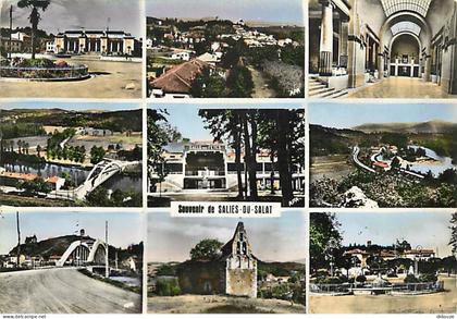 Carte Postale - 31 - Salies du Salat - CPM - Voir Scans Recto-Verso - Poscard - Carta Postal -  Postkarte