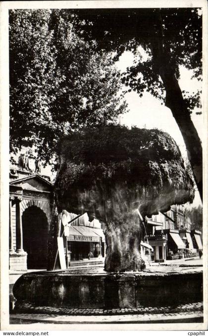 Salon de Provence - La Fontaine moussue - CPA
