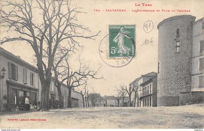 81-SALVAGNAC-N°2158-A/0105