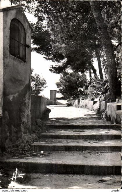 CPA Cote d Azur Sanary sur Mer Chemin de T Oratoire