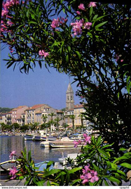 CPM Sanary sur Mer