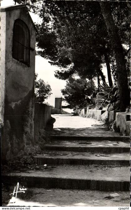CPM Sanary sur Mer Chemin de l'oratoire