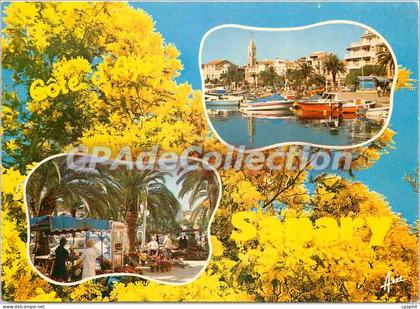 CPSM Lumiere et Beaute de la Cote d'Azur Souvenir de Sanary sur Mer
