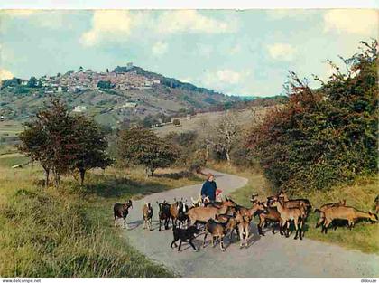 Carte Postale - 18 - Sancerre - Paysage d'automne à Sancerre - Chèvres - Berger - Paysans - CPM - Voir Scans Recto-Verso