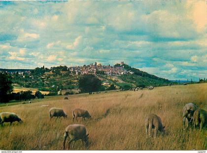 CPM Sancerre Cher Vue generale