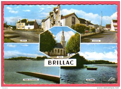 56 SARZEAU - BRILLAC