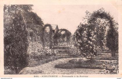 SCHILTIGHEIM-67-Bas-Rhin-Promenade à la roseraie - Parc  -