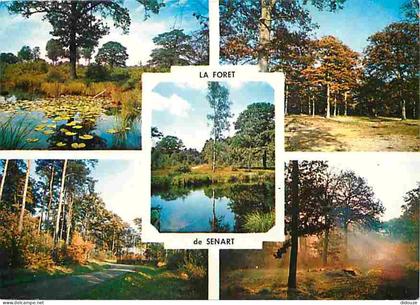 Carte Postale - 91 - Senart - La Foret de Senart - Multivues - CPM - Voir Scans Recto-Verso - Poscard - Carta Postal -