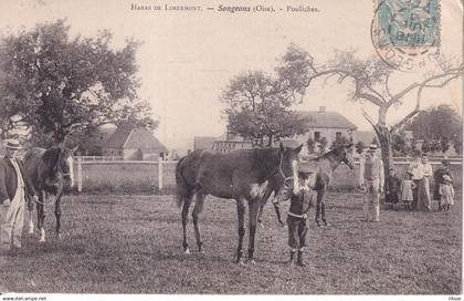 SONGEONS(HARAS DE LIMERMONT)