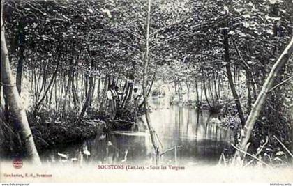 D40 LANDES - SOUSTONS < PECHEURS SOUS LES VERGNES