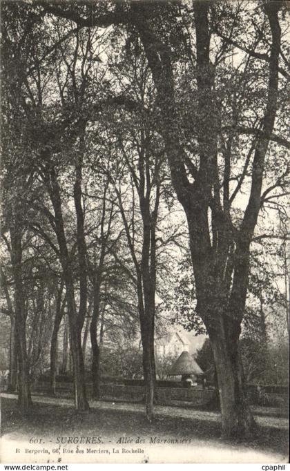 CPA Surgeres Allee des Marronniers