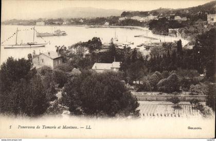 CPA Panorama de Tamaris et Monteau
