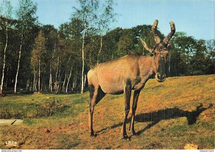 78 THOIRY CHATEAU DE THOIRY