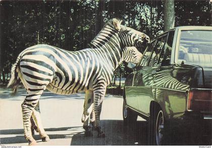 78 THOIRY CHATEAU DE THOIRY