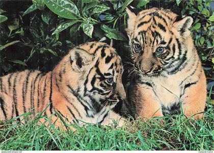 78 THOIRY CHATEAU DE THOIRY