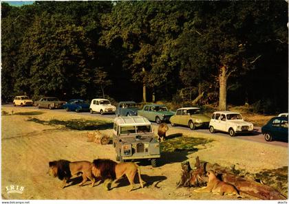 CPM Thoiry Lions en liberte FRANCE (1452738)