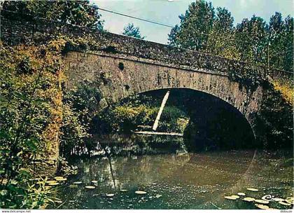 Carte Postale - 49 - Thouarcé - Pont sur le Layon - Vieilles pierres - CPM - Voir Scans Recto-Verso - Poscard - Carta Po