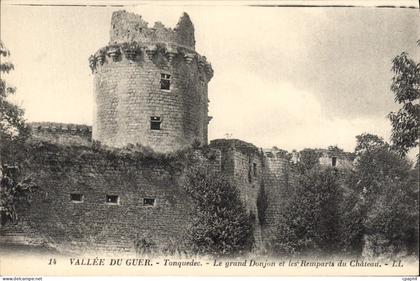CPA Vallee du Guer Tonquedec Le Grad Donjon et les Remparts du Chateau