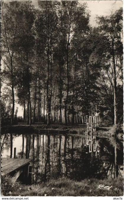 CPA TOUCY La Baignade (1197733)