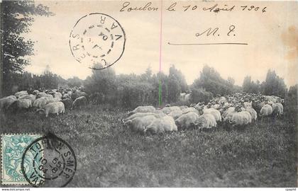 CPA TOULON Moutons