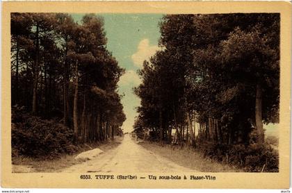 CPA Tuffe Un sous-bois a Passe-Vite FRANCE (1451301)