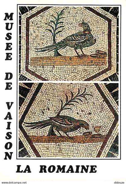 Carte Postale - 84 - Vaison la Romaine - Muséee de Vaison la Romaine - Multivues - Mosaiques - CPM - Voir Scans Recto-Ve