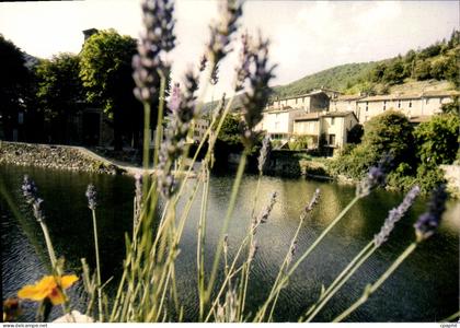 CPSM Valleraugue Ambiance Fleurie